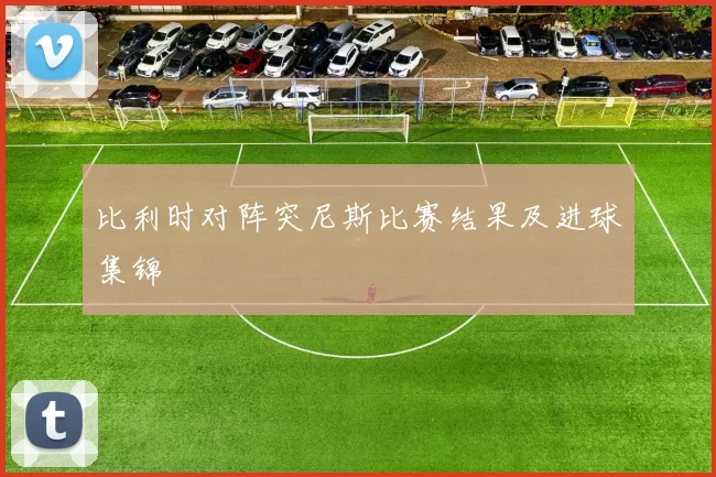 比利时对阵突尼斯比赛结果及进球集锦