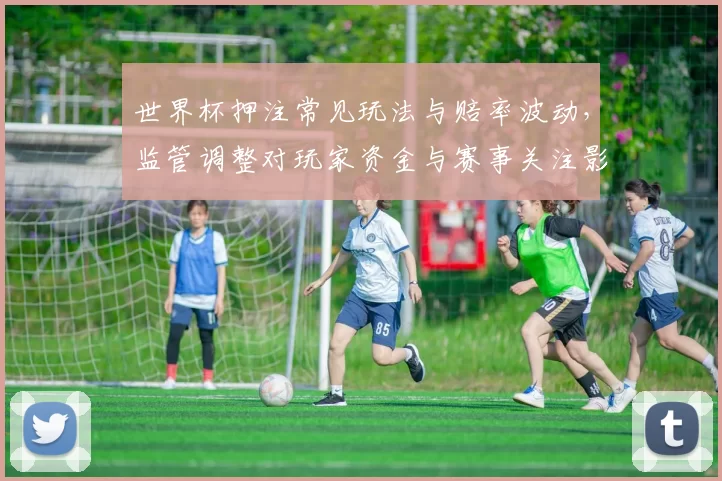 世界杯押注常见玩法与赔率波动，监管调整对玩家资金与赛事关注影响